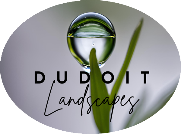 Dudoit Landscapes